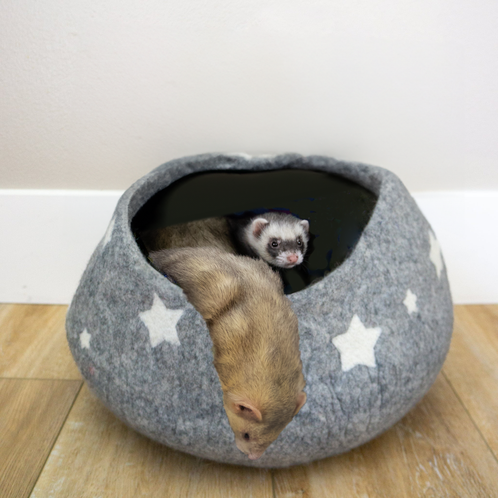 Caring for Senior Ferrets — Nutrition, Comfort, and Enrichment