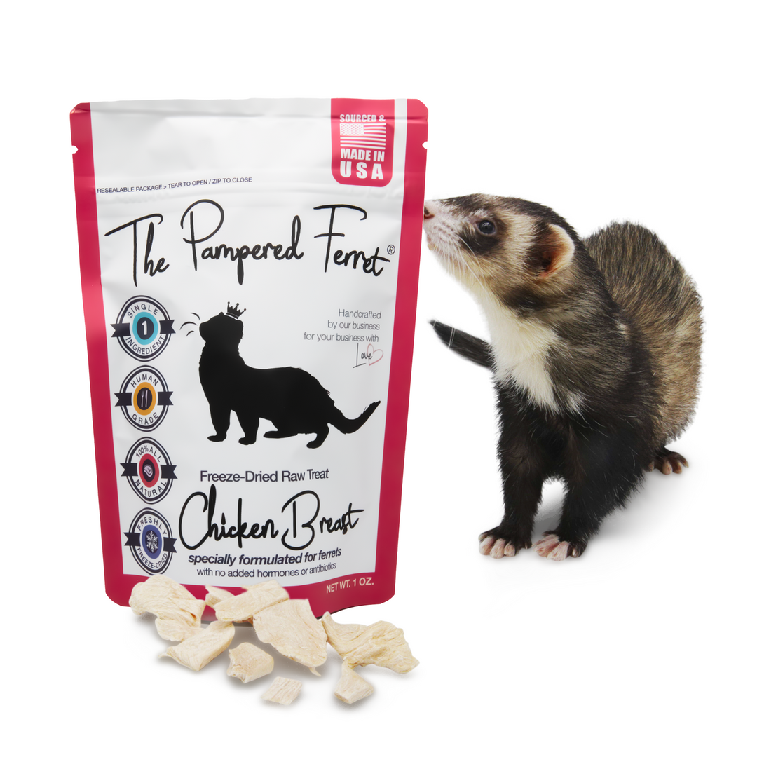 Freeze-Dried Chicken Breast Treat for Ferrets | The Pampered