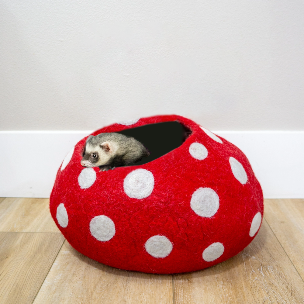 Comfy Ferret Cave (Mushroom)