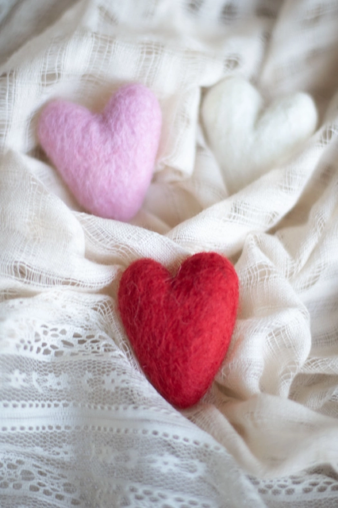 Ferret Stashing Hearts (Pink Valentine) - Set of 3