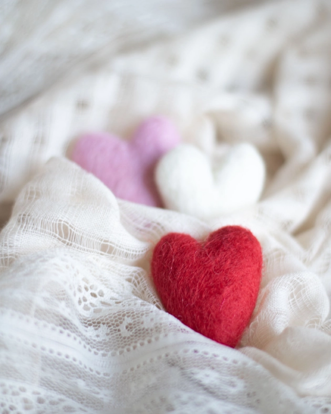 Ferret Stashing Hearts (Pink Valentine) - Set of 3