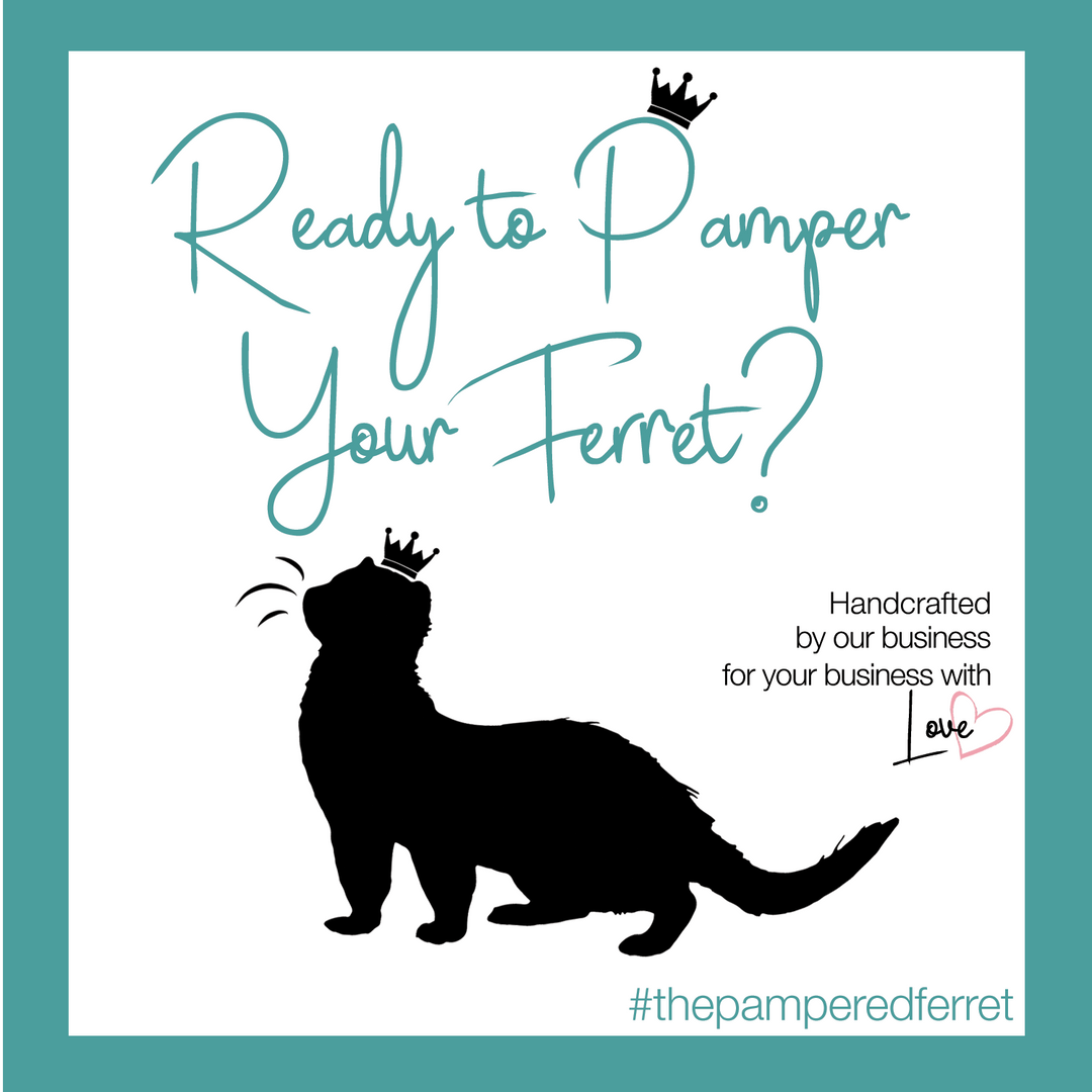 The Pampered Ferret |Best Ferret Treats | Healthy Ferret Treats