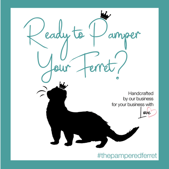 The Pampered Ferret |Best Ferret Treats | Healthy Ferret Treats