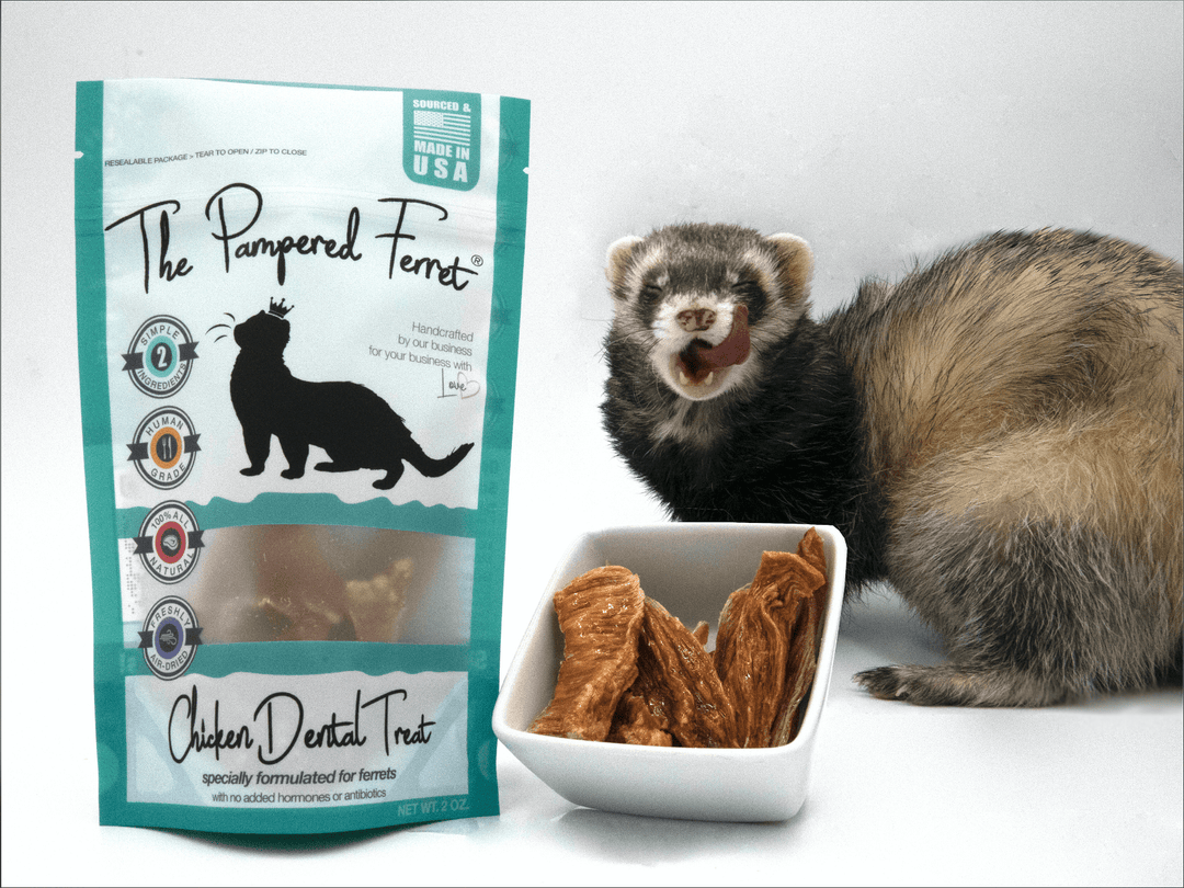 Ferret food near me clearance