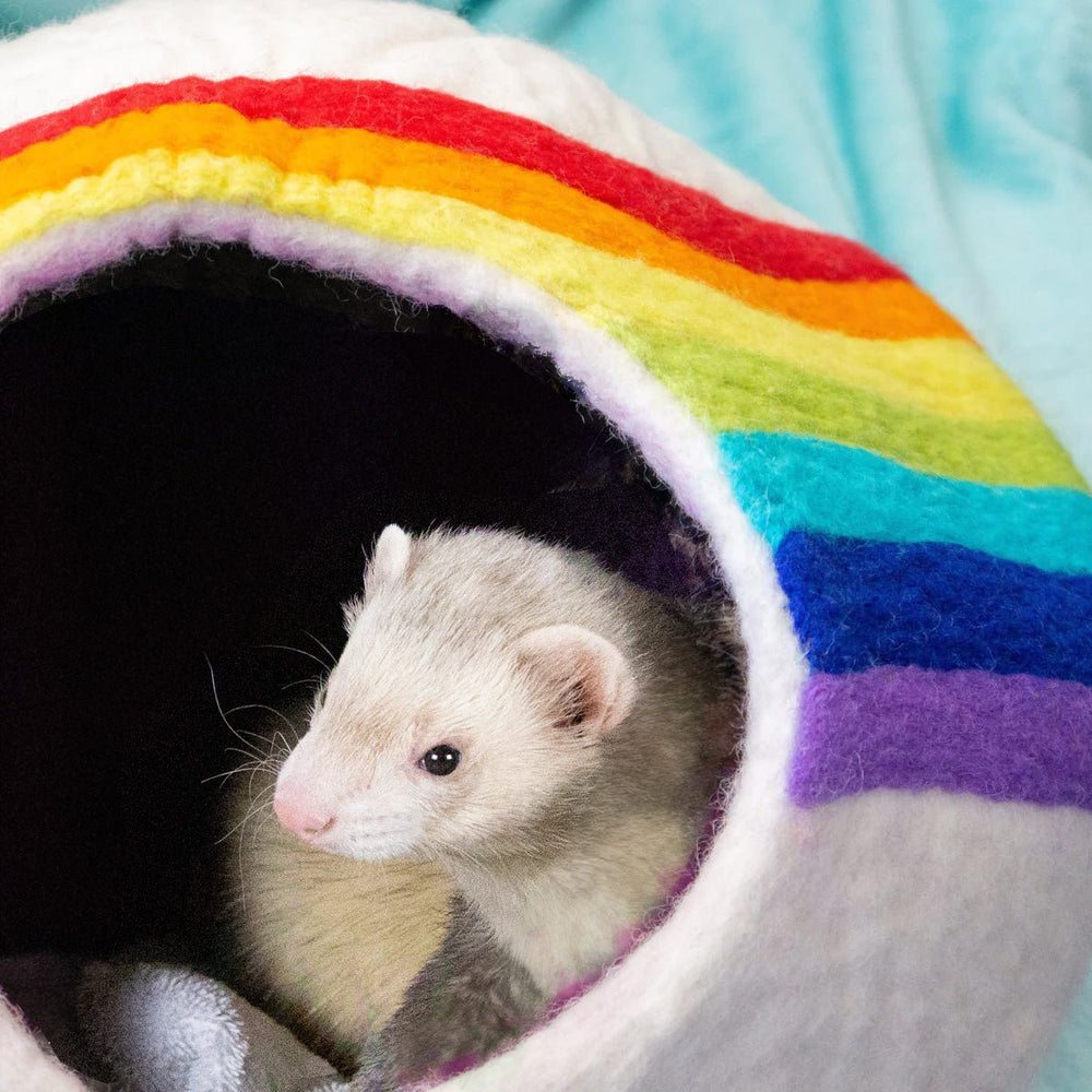 Comfy Ferret Cave (Rainbow Love) - The Pampered FerretComfy Ferret Cave (Rainbow Love)Pet SuppliesThe Pampered Ferret