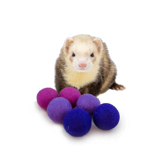 Ferret Small Stashing Balls (Purple Rain) - Set of 6 - The Pampered FerretFerret Small Stashing Balls (Purple Rain) - Set of 6Ferret ToysThe Pampered Ferret