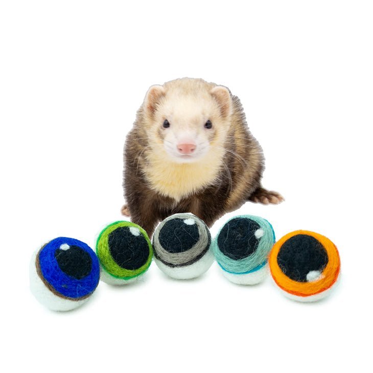 Ferret Small Stashing Balls (Spooky Eyeballs) - Set of 5 - The Pampered FerretFerret Small Stashing Balls (Spooky Eyeballs) - Set of 5Ferret ToysThe Pampered Ferret