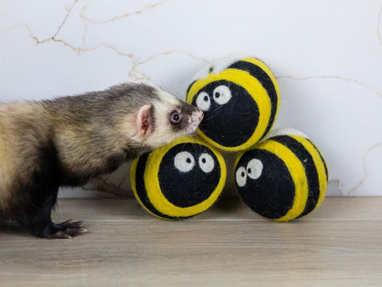 Ferret Stashing Balls (Bee Trio) - Set of 3 - The Pampered FerretFerret Stashing Balls (Bee Trio) - Set of 3Ferret ToysThe Pampered Ferret