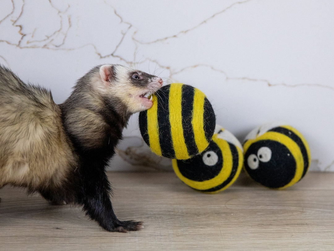 Ferret Stashing Balls (Bee Trio) - Set of 3 - The Pampered FerretFerret Stashing Balls (Bee Trio) - Set of 3Ferret ToysThe Pampered Ferret
