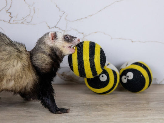 Ferret Stashing Balls (Bee Trio) - Set of 3 - The Pampered FerretFerret Stashing Balls (Bee Trio) - Set of 3Ferret ToysThe Pampered Ferret