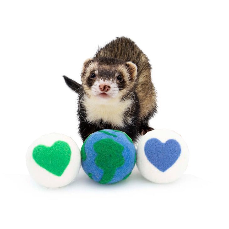 Ferret Stashing Balls (Earth/Hearts) - Set of 3 - The Pampered FerretFerret Stashing Balls (Earth/Hearts) - Set of 3Ferret ToysThe Pampered Ferret