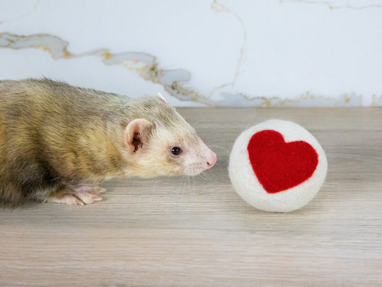 Ferret Stashing Balls (Hearts) - Set of 3 - The Pampered FerretFerret Stashing Balls (Hearts) - Set of 3Ferret ToysThe Pampered Ferret