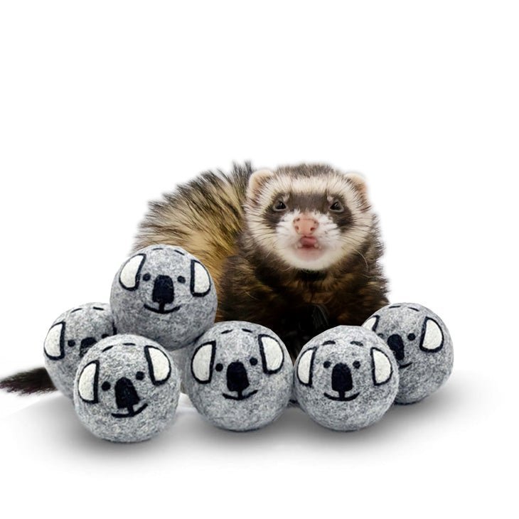 Ferret Stashing Balls (Koala Crew) - Set of 6 - The Pampered FerretFerret Stashing Balls (Koala Crew) - Set of 6Ferret ToysThe Pampered Ferret