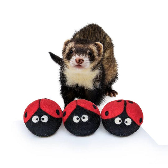 Ferret Stashing Balls (Ladybugs) - Set of 3 - The Pampered FerretFerret Stashing Balls (Ladybugs) - Set of 3Ferret ToysThe Pampered Ferret