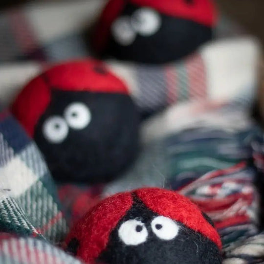 Ferret Stashing Balls (Ladybugs) - Set of 3 - The Pampered FerretFerret Stashing Balls (Ladybugs) - Set of 3Ferret ToysThe Pampered Ferret