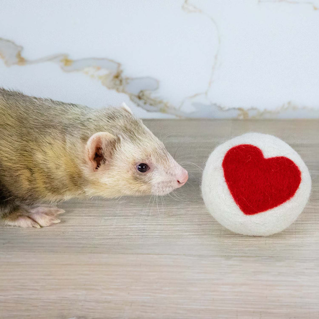 Ferret Stashing Balls (One Love) - Set of 6 - The Pampered FerretFerret Stashing Balls (One Love) - Set of 6Ferret ToysThe Pampered Ferret