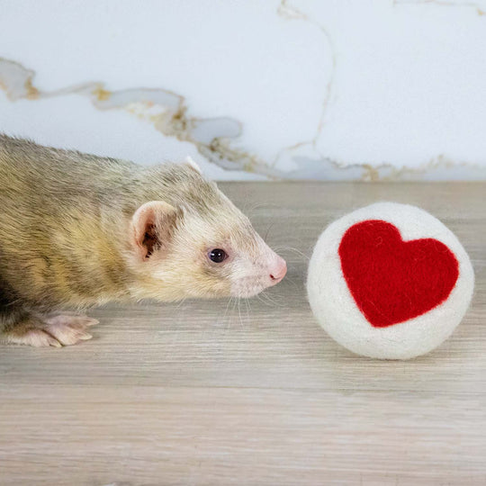 Ferret Stashing Balls (One Love) - Set of 6 - The Pampered FerretFerret Stashing Balls (One Love) - Set of 6Ferret ToysThe Pampered Ferret