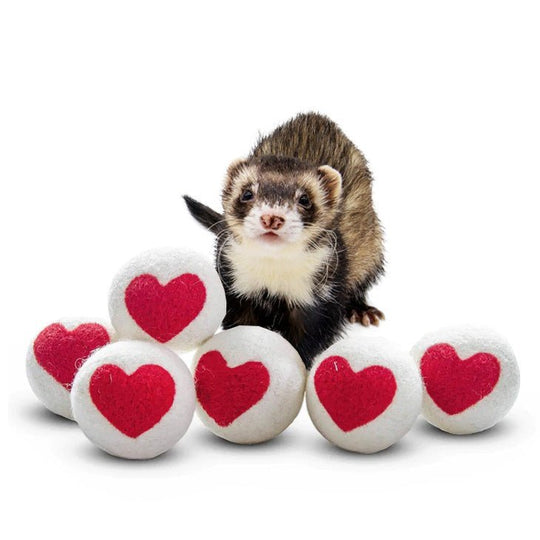 Ferret Stashing Balls (One Love) - Set of 6 - The Pampered FerretFerret Stashing Balls (One Love) - Set of 6Ferret ToysThe Pampered Ferret