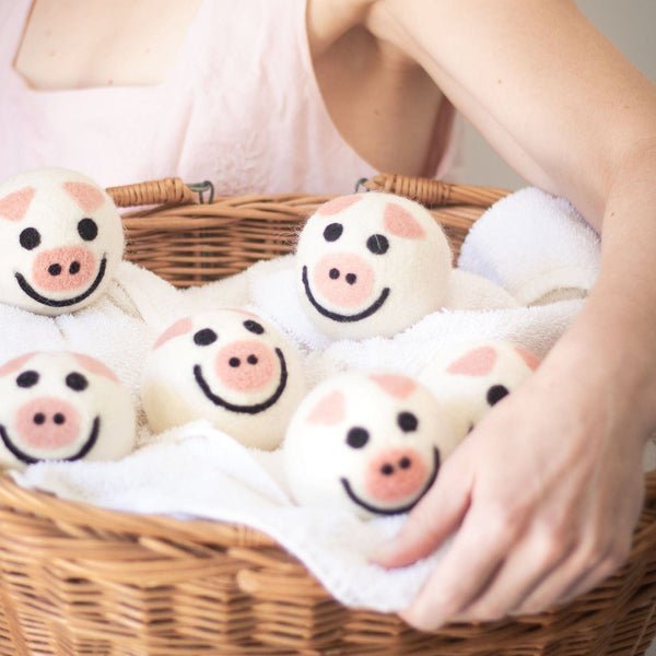 Ferret Stashing Balls (Piggy Band) - Set of 6 - The Pampered FerretFerret Stashing Balls (Piggy Band) - Set of 6Ferret ToysThe Pampered Ferret