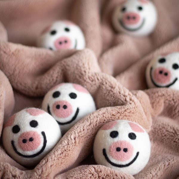 Ferret Stashing Balls (Piggy Band) - Set of 6 - The Pampered FerretFerret Stashing Balls (Piggy Band) - Set of 6Ferret ToysThe Pampered Ferret
