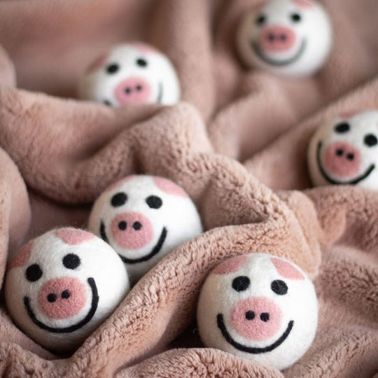 Ferret Stashing Balls (Piggy Band) - Set of 6 - The Pampered FerretFerret Stashing Balls (Piggy Band) - Set of 6Ferret ToysThe Pampered Ferret