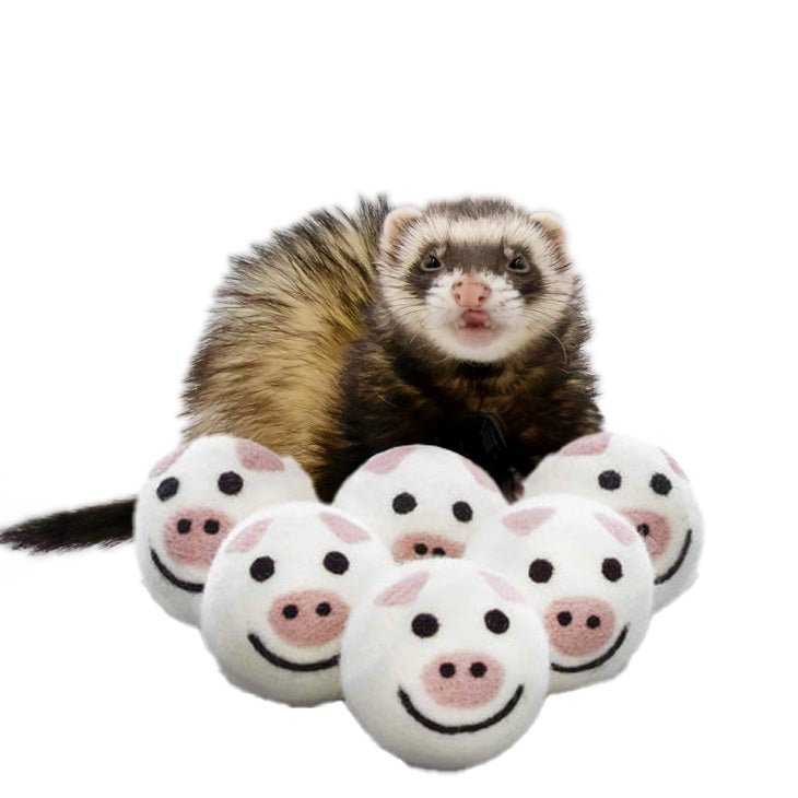 Ferret Stashing Balls (Piggy Band) - Set of 6 - The Pampered FerretFerret Stashing Balls (Piggy Band) - Set of 6Ferret ToysThe Pampered Ferret