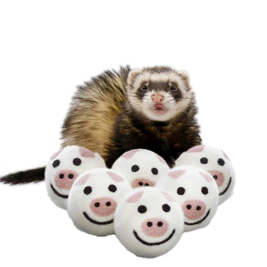 Ferret Stashing Balls (Piggy Band) - Set of 6 - The Pampered FerretFerret Stashing Balls (Piggy Band) - Set of 6Ferret ToysThe Pampered Ferret