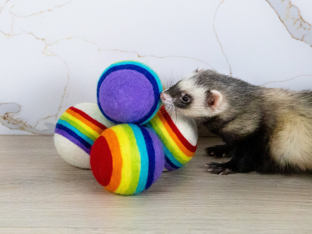 Ferret Stashing Balls (Rainbow) - Set of 4 - The Pampered FerretFerret Stashing Balls (Rainbow) - Set of 4Ferret ToysThe Pampered Ferret