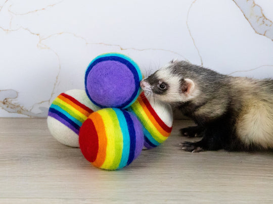 Ferret Stashing Balls (Rainbow) - Set of 4 - The Pampered FerretFerret Stashing Balls (Rainbow) - Set of 4Ferret ToysThe Pampered Ferret