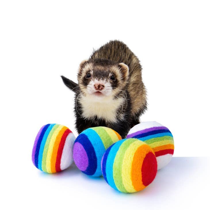 Ferret Stashing Balls (Rainbow) - Set of 4 - The Pampered FerretFerret Stashing Balls (Rainbow) - Set of 4Ferret ToysThe Pampered Ferret