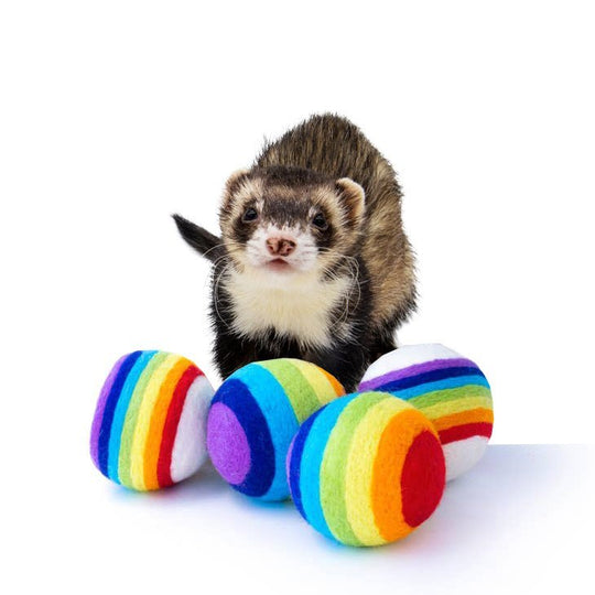 Ferret Stashing Balls (Rainbow) - Set of 4 - The Pampered FerretFerret Stashing Balls (Rainbow) - Set of 4Ferret ToysThe Pampered Ferret