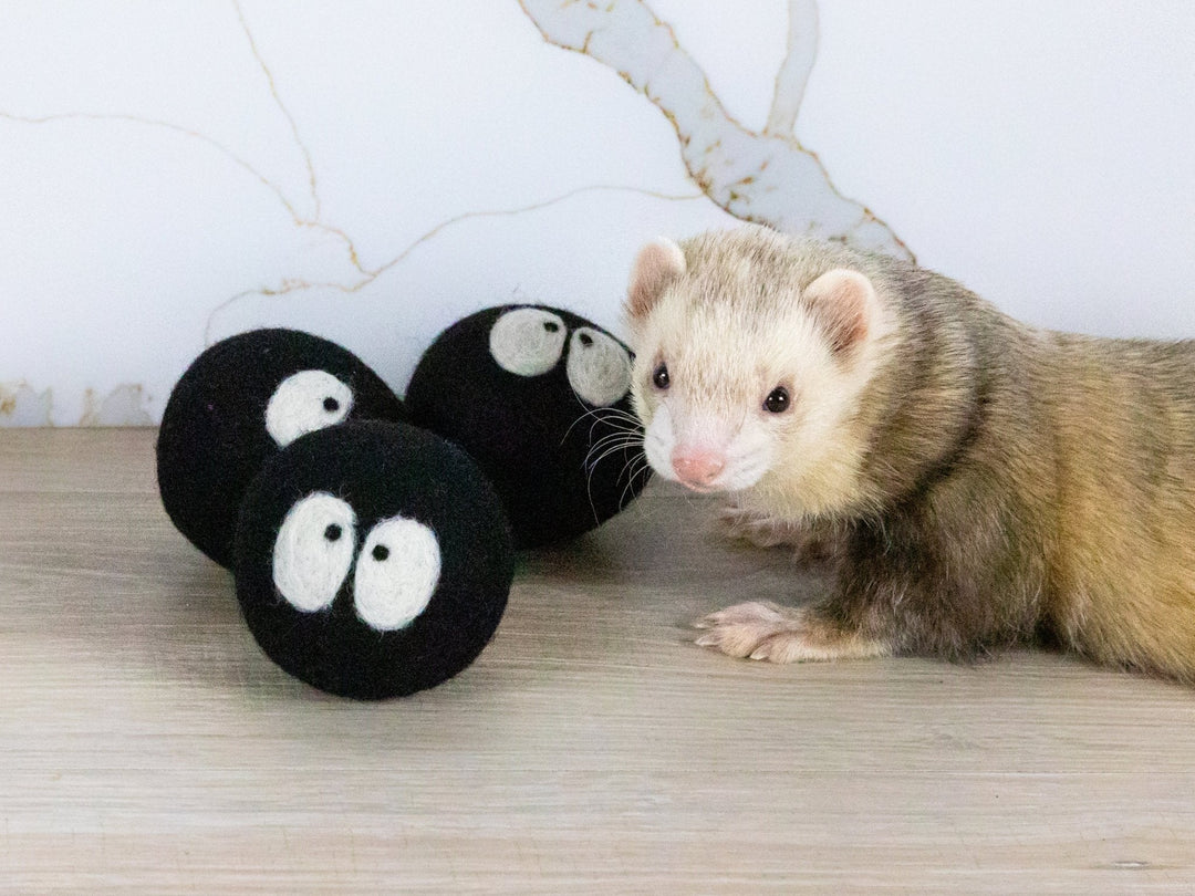 Ferret Stashing Balls (Spooky Sprites) - Set of 3 - The Pampered FerretFerret Stashing Balls (Spooky Sprites) - Set of 3Ferret ToysThe Pampered Ferret