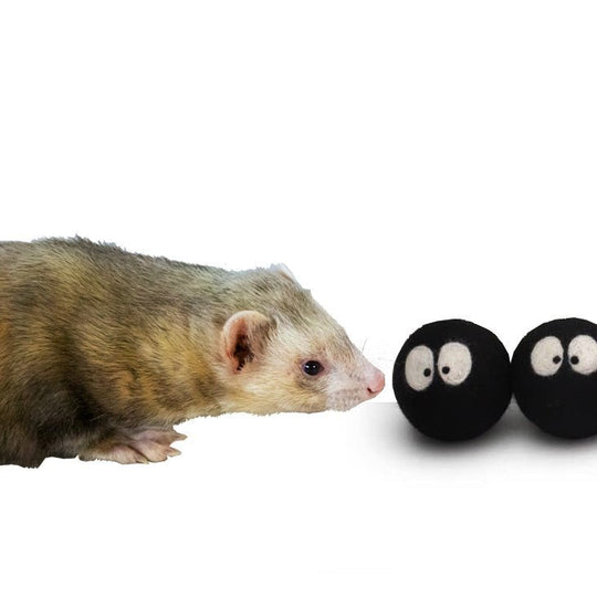 Ferret Stashing Balls (Spooky Sprites) - Set of 3 - The Pampered FerretFerret Stashing Balls (Spooky Sprites) - Set of 3Ferret ToysThe Pampered Ferret