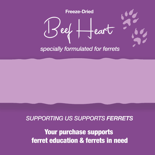 Freeze-dried raw beef heart treat for ferrets in bag