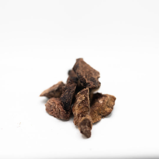 Freeze-dried raw bison kidney treats for ferrets close up to show texture