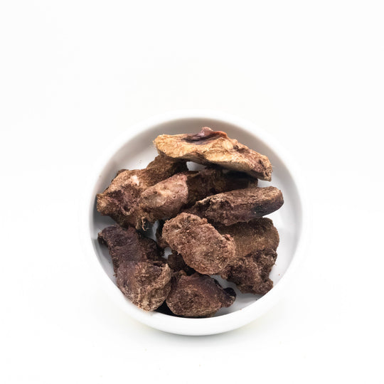 Freeze-dried raw bison kidney treats close up