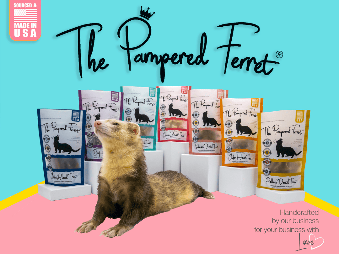 Freeze-dried raw single ingredient treats for ferrets with ferret 