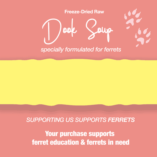 Dook Soup complete raw ferret diet key benefits 