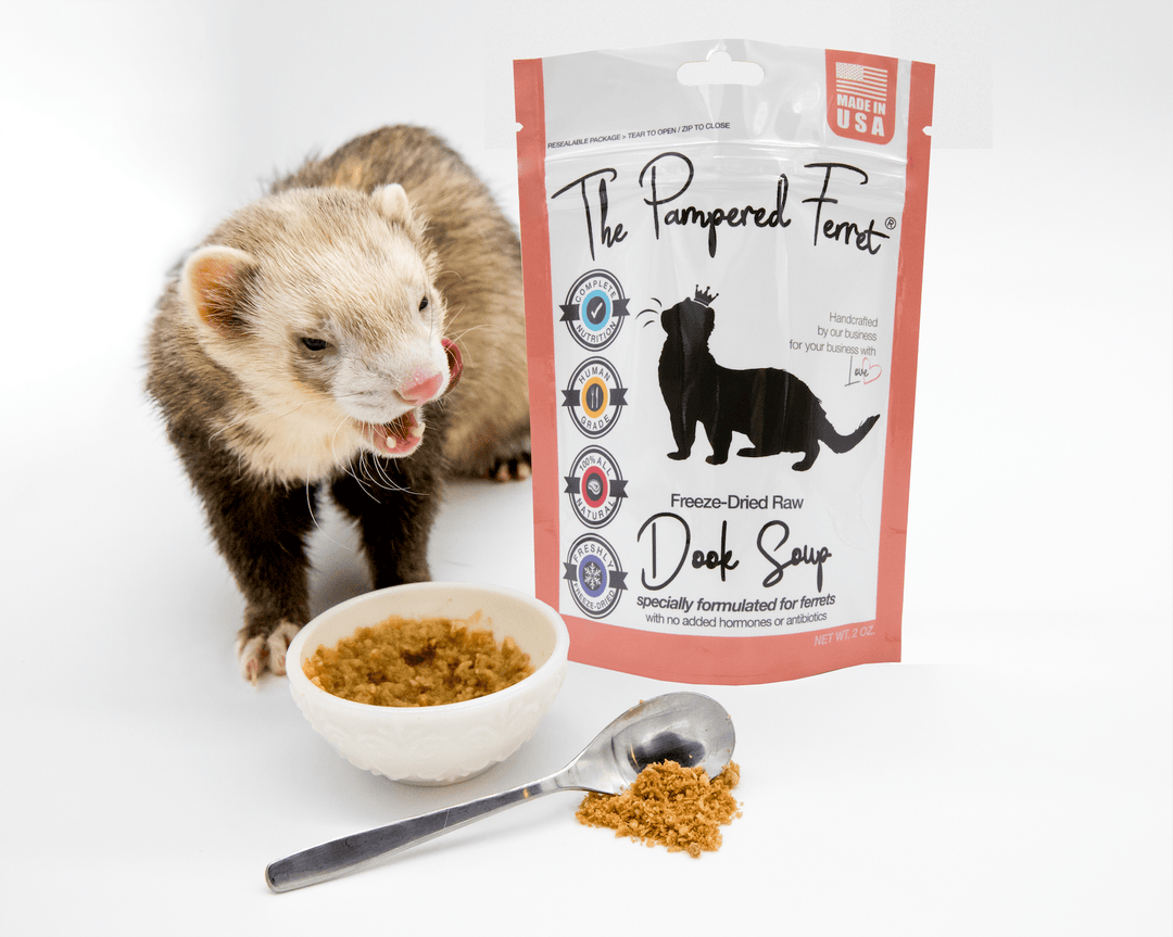 Dook Soup complete raw ferret diet package and ferret eating Dook Soup