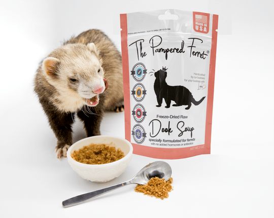 Dook Soup complete raw ferret diet package and ferret eating Dook Soup