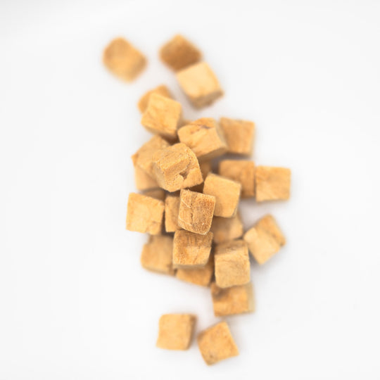 Freeze-dried raw salmon treat for ferrets close up