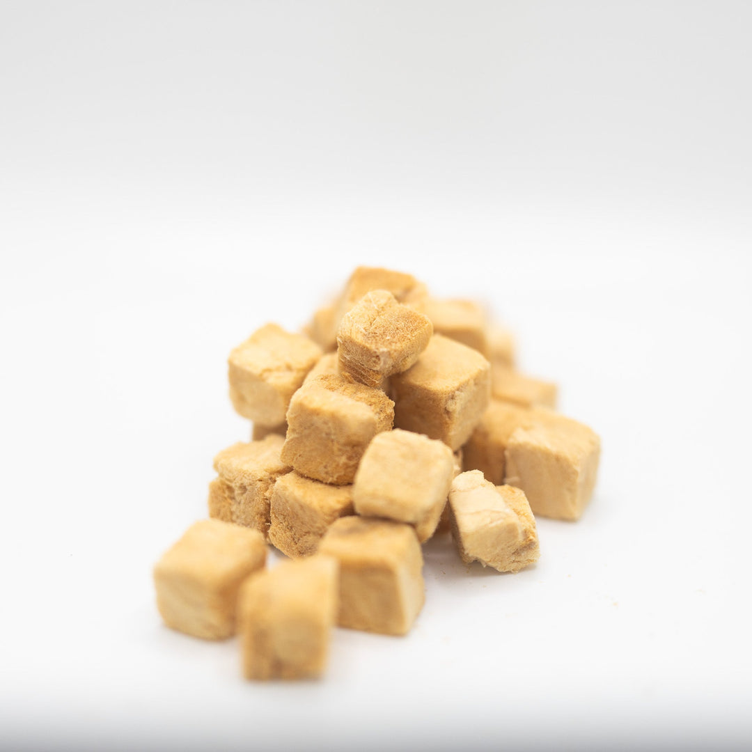 Freeze-dried raw salmon treat for ferrets close up