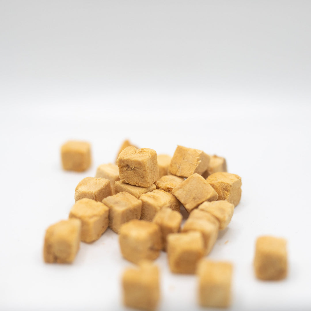 Freeze-dried raw salmon treat for ferrets close up