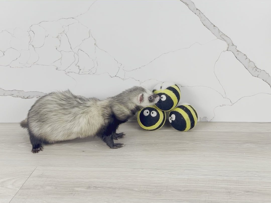 Safe ferret toy stashing ball wool handmade