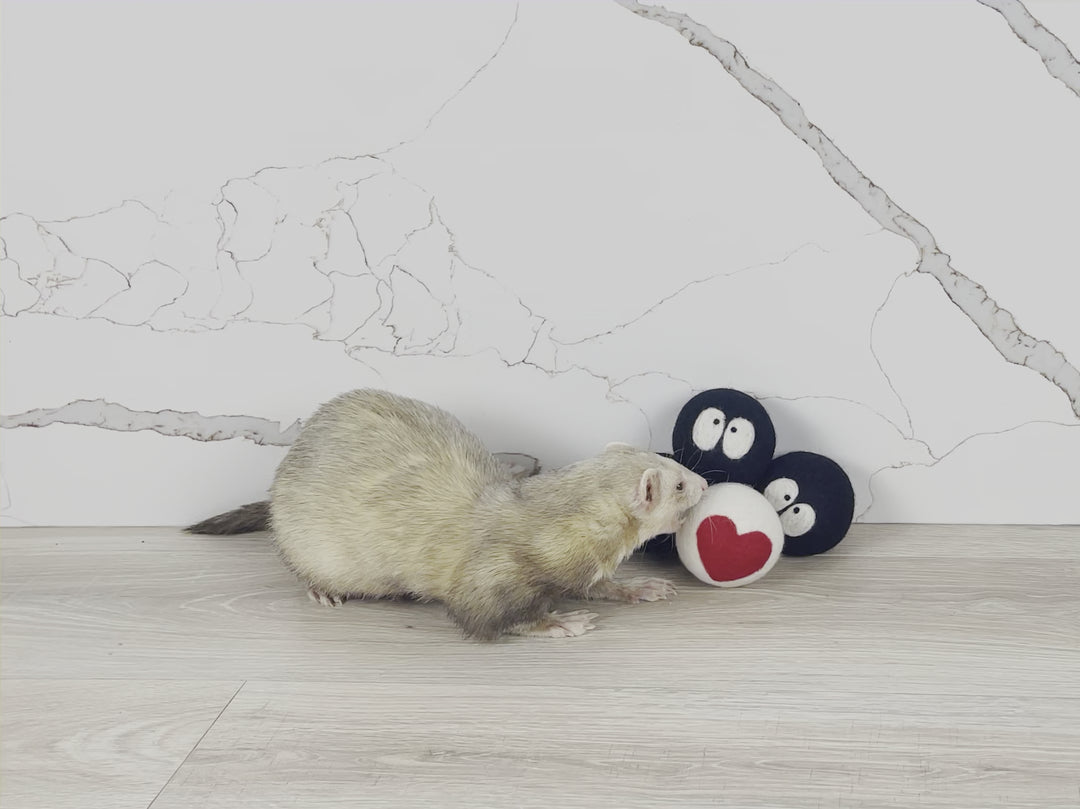 Safe ferret toy stash balls wool handmade
