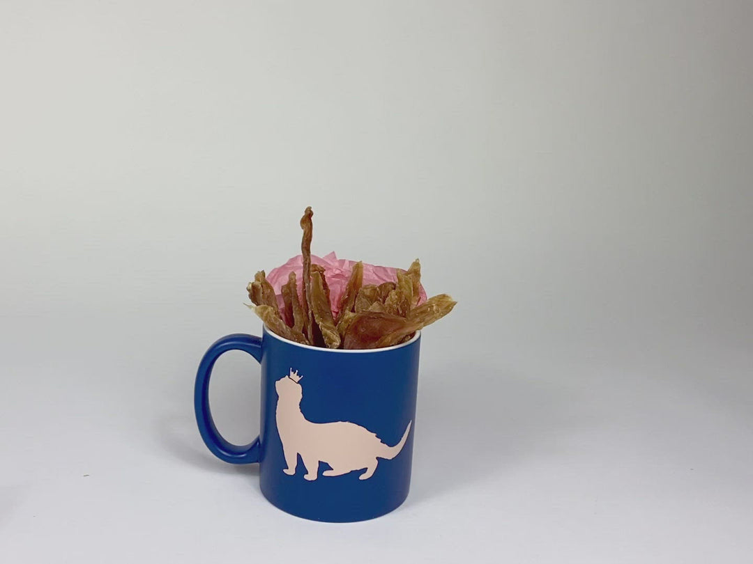 Chicken Breast Jerky Treat for Ferrets