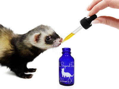 salmon oil treat for ferrets, cats, dogs, omega, healthy coat and skin