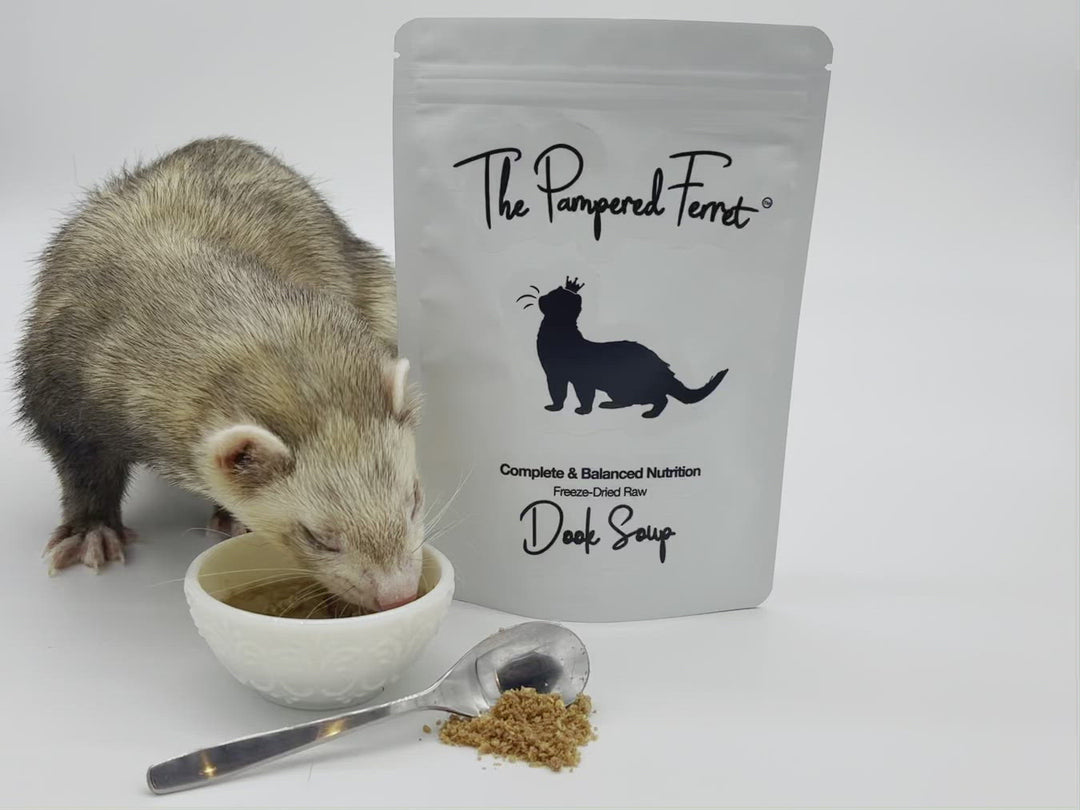 Ferrets enjoying Dook Soup - complete raw ferret diet